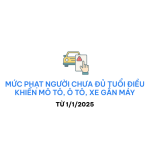 Mức phạt người chưa đủ tuổi điều khiển ô tô, mô tô, xe gắn máy từ 1/1/2025